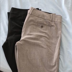 Loft Marissa Trousers